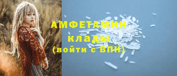 прущие грибы Алексин
