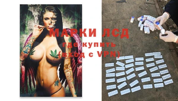 прущие грибы Алексин