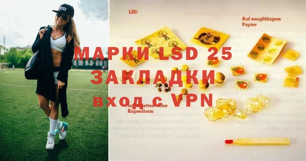 PSILOCYBIN Алексеевка