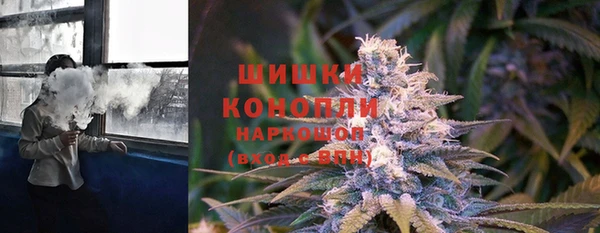 прущие грибы Алексин