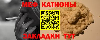 шишки Дубна