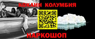 шишки Дубна