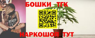 шишки Дубна