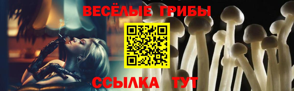 Псилоцибиновые грибы GOLDEN TEACHER  Вход с VPN  Темрюк 
