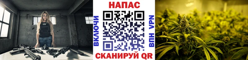 мориарти телеграм  Темрюк  Марихуана марихуана  МЕГА сайт 
